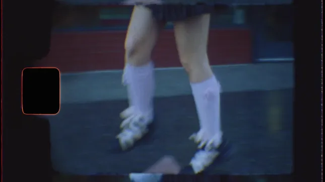 HOLLYWOOD SALOMONS