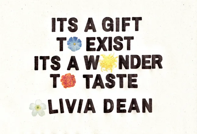 Olivia Dean Merchandise Designs (2024)