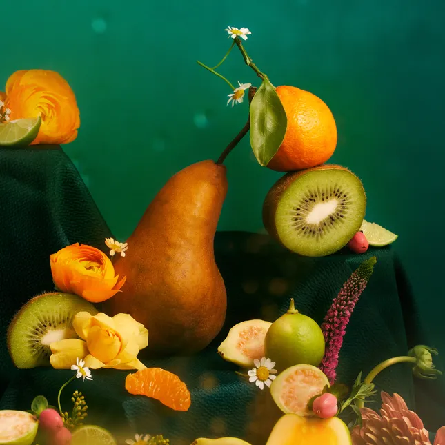 Fruit or Flower album artwork