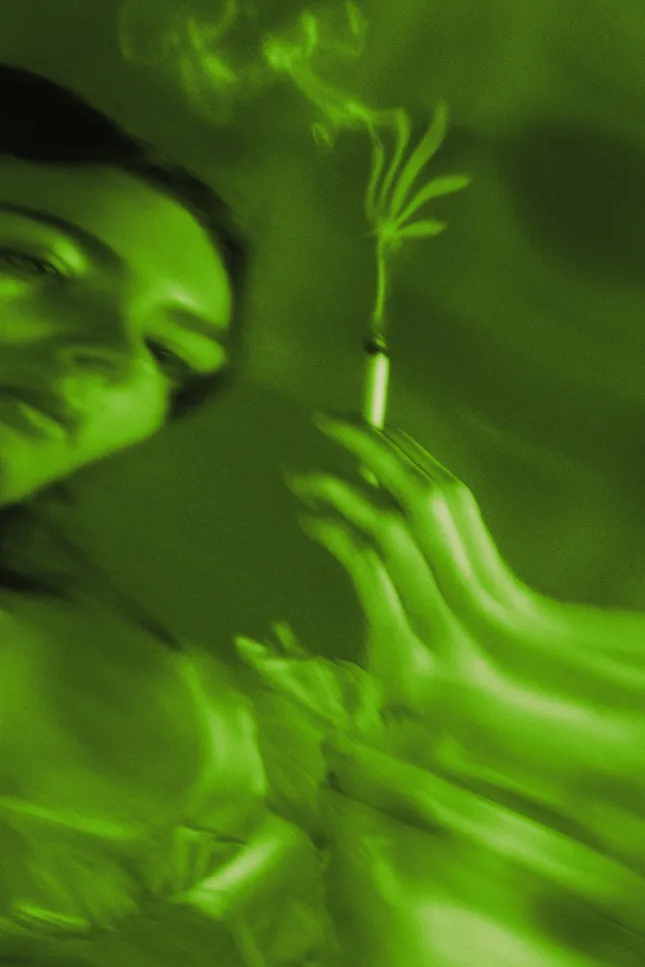 Broccoli Mag - "High Spirits"