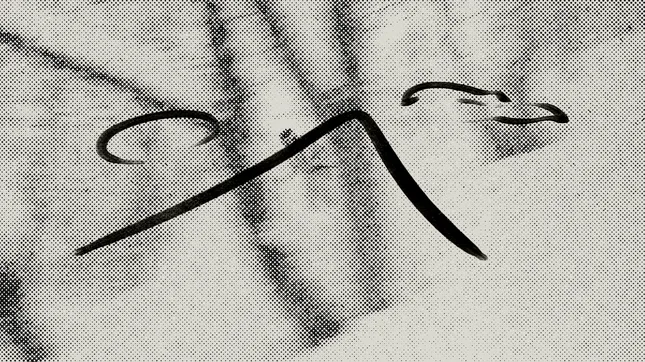 Nisei motion graphic