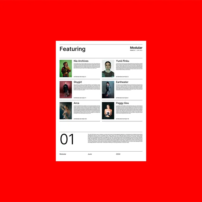 Modular Magazine