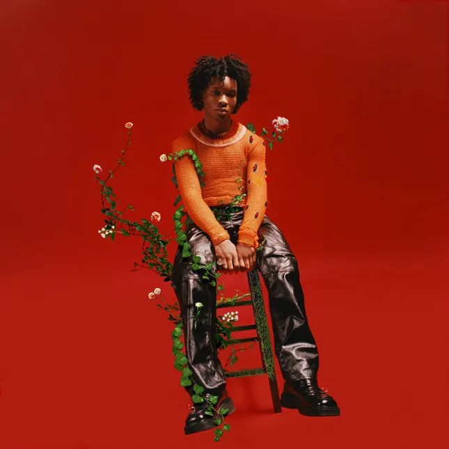 “Pedals to Thorns” EP cover for D4VD