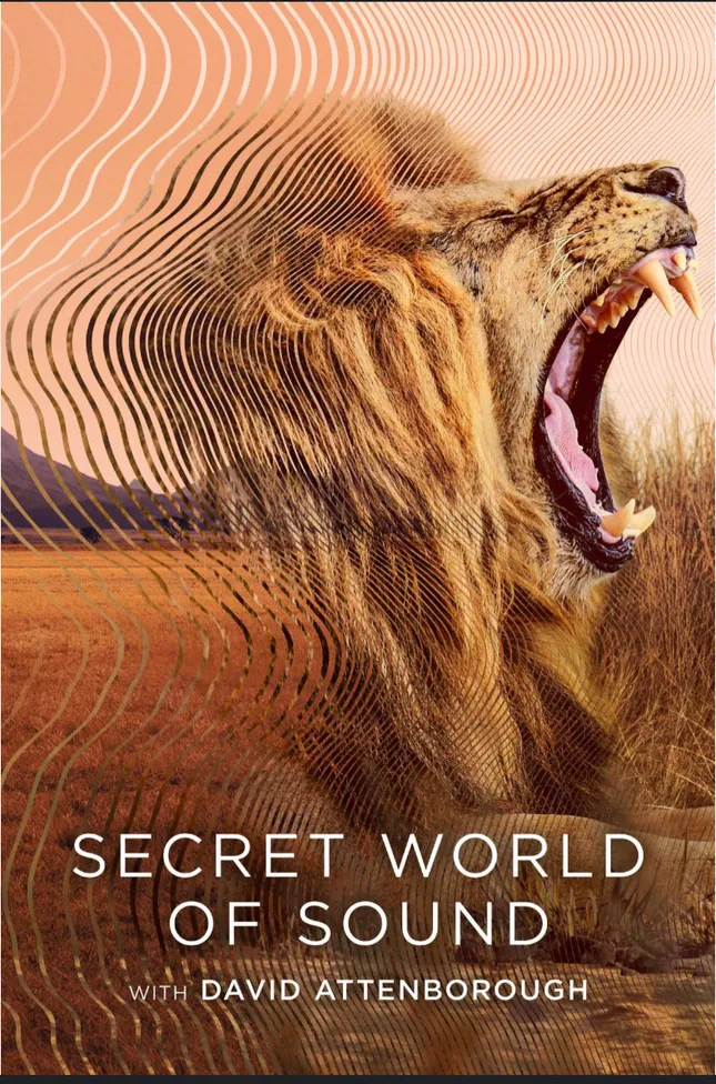 Secret World of Sound with David Attenborough
