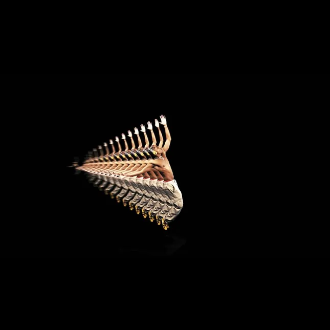 Project image