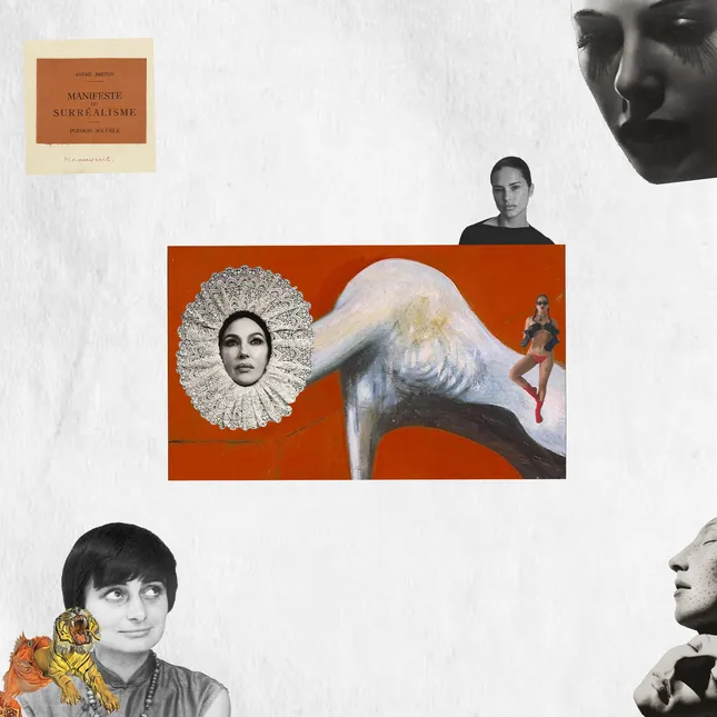 ‘Agnès, Monica, Adriana, Rosalía and Hedy in a surrealist land’