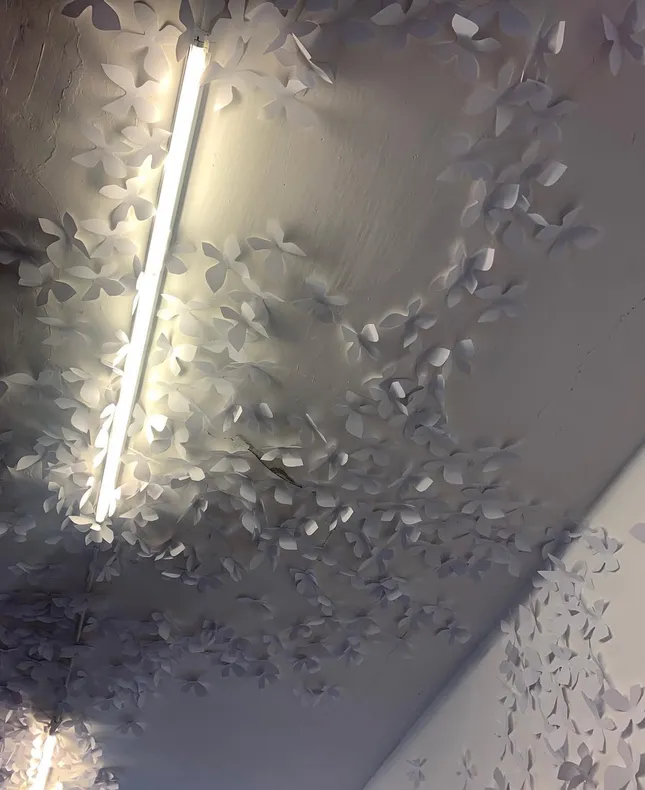 [ARCHIVES 2023] art installation for AREA