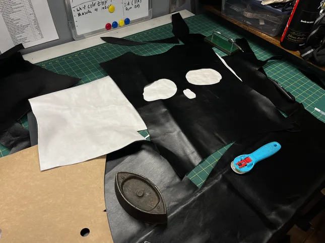 Project image