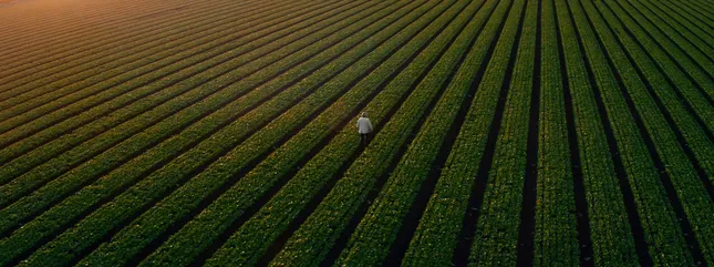 The Future Farmers Deserve