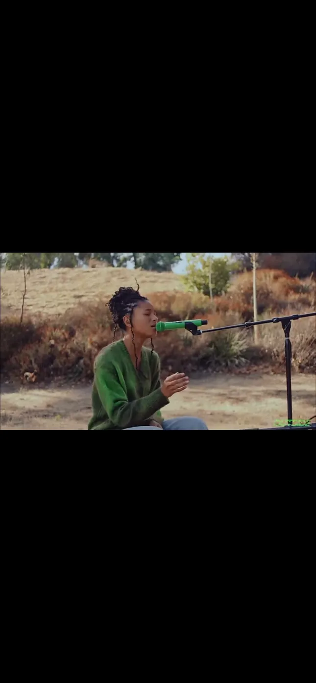 Willow Spotify Outside
