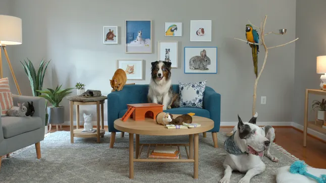 Sling TV "The Obvious Choice" campaign