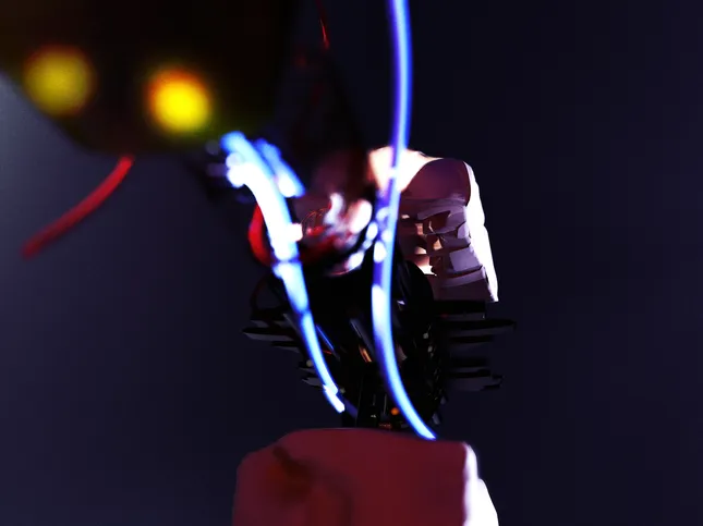 Project image