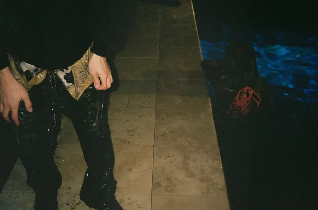 Project image