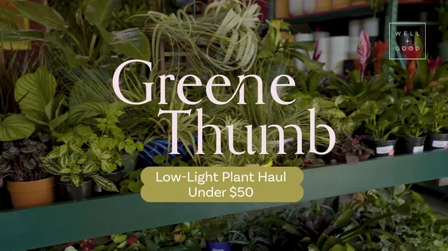 Well+Good: Greene Thumb