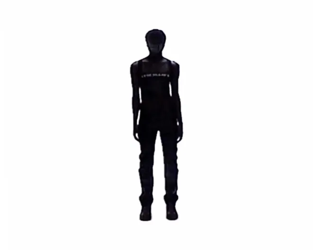 Project image