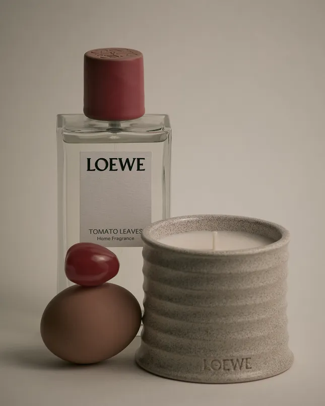 Still Life