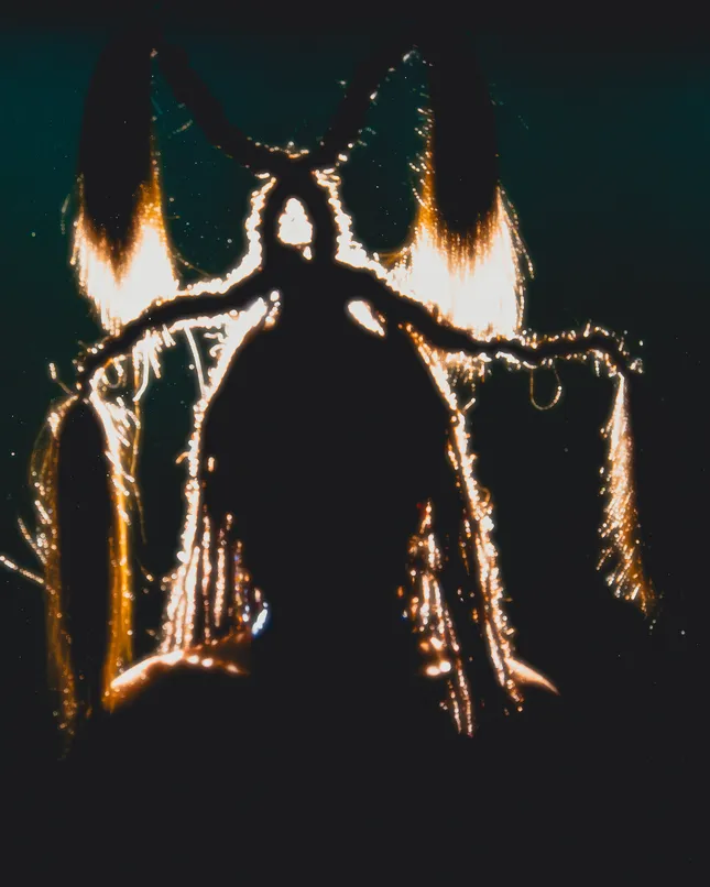 Project image