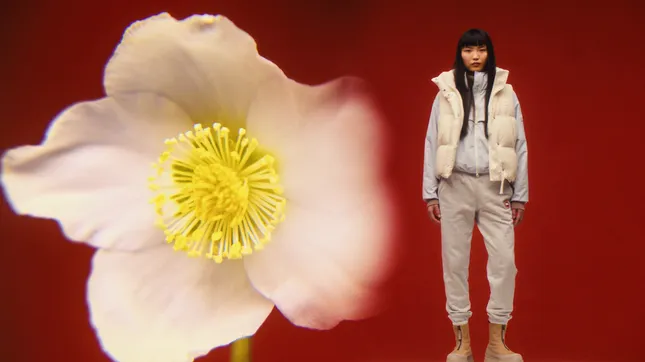 Canada Goose - Lunar New Year