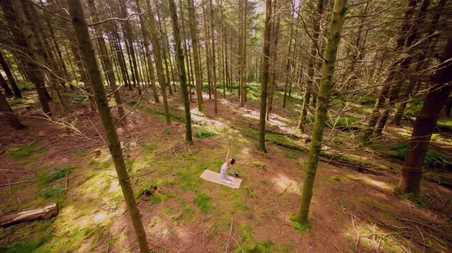 Yoga In The Woods - YETI