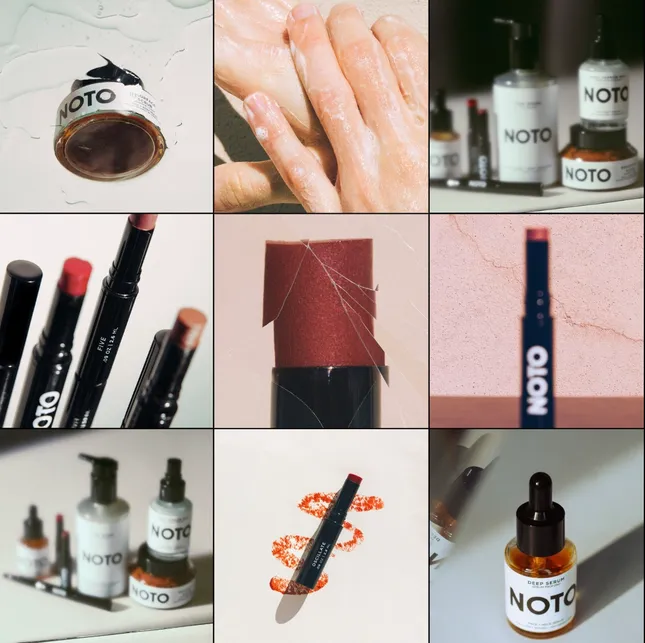 NOTO Botanics | Case Study