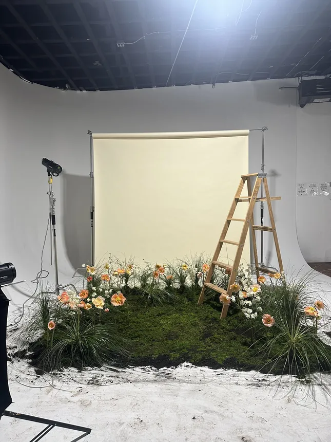 Project image