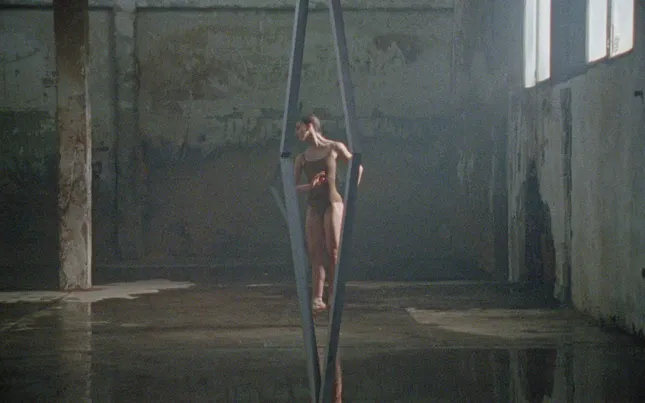 SWAN