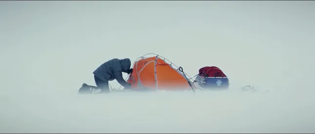 Resilience
