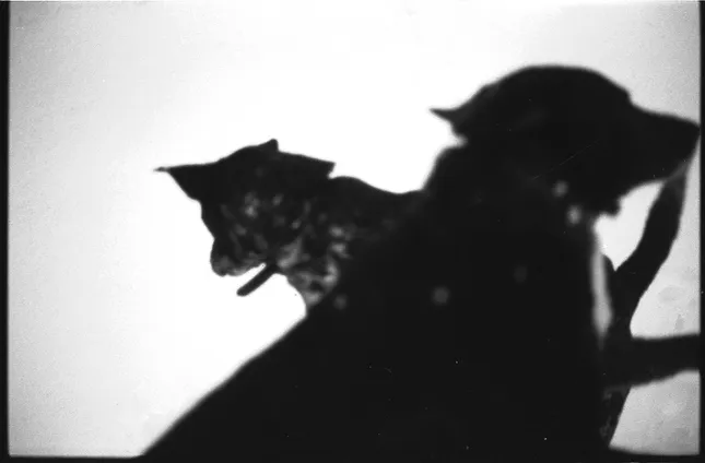 Project image