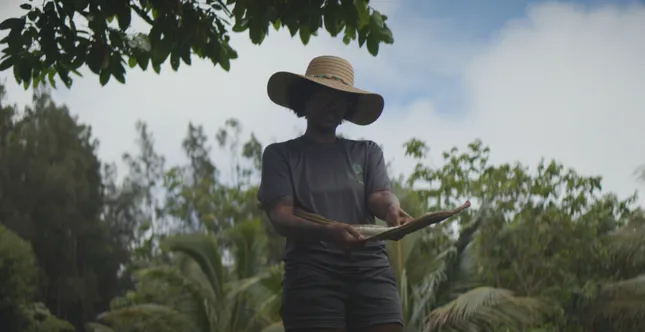 Hawai'i Documentaries