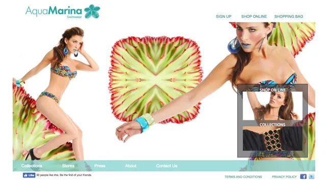 Aqua Marina Swimwear Website