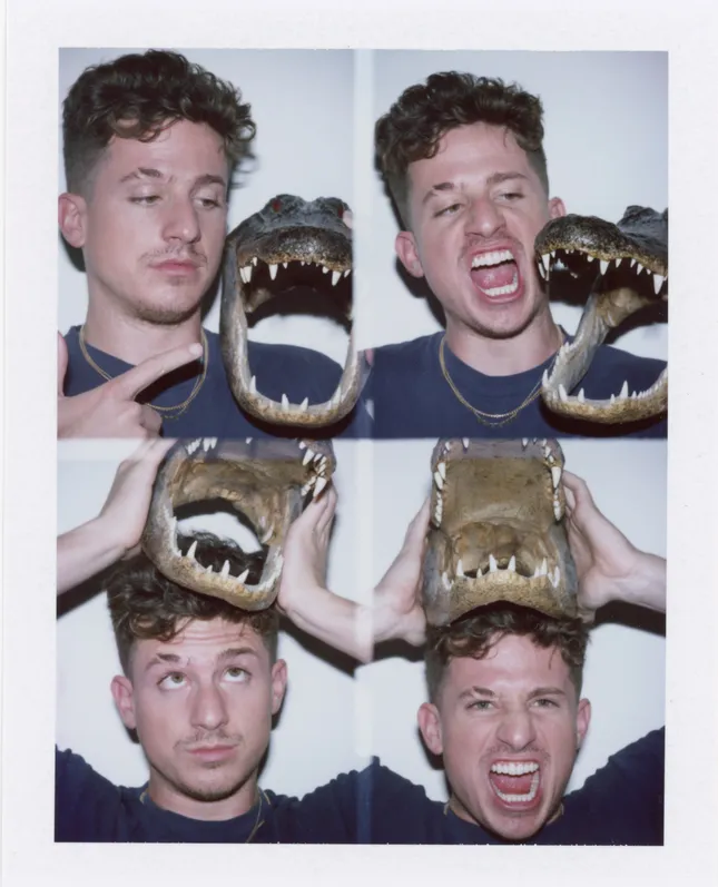 Charlie Puth portraits