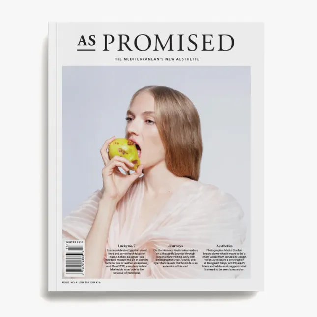 Story for AS Promised Magazine
