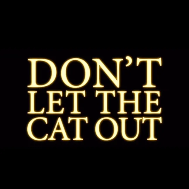 DON’T LET THE CAT OUT- feature film