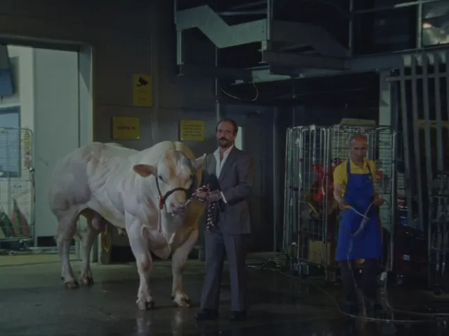 Idles - Gift Horse