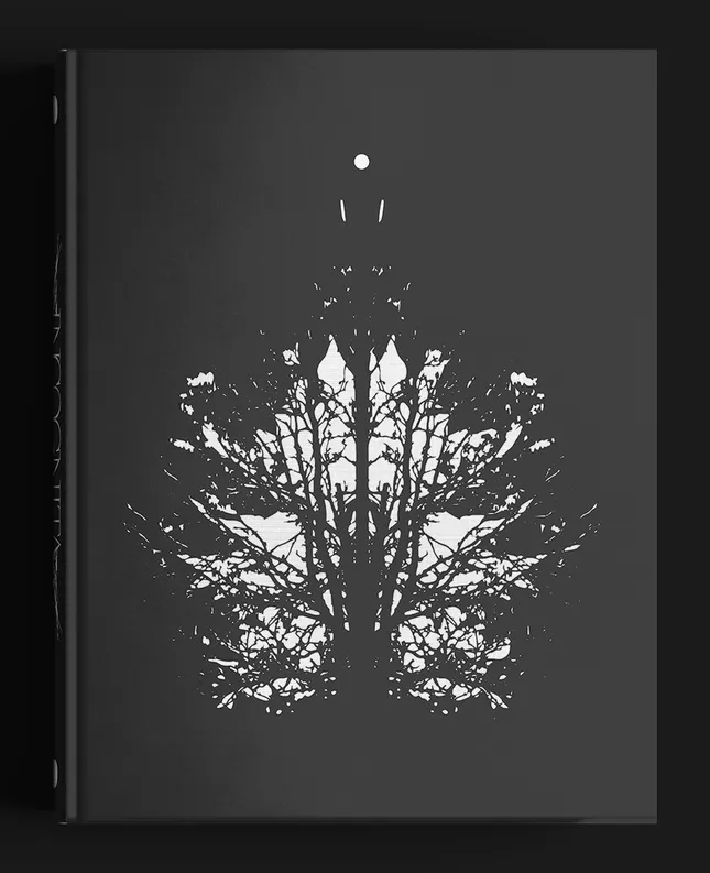 Book Cover and Layout: Incognita by Liesel Schwarz