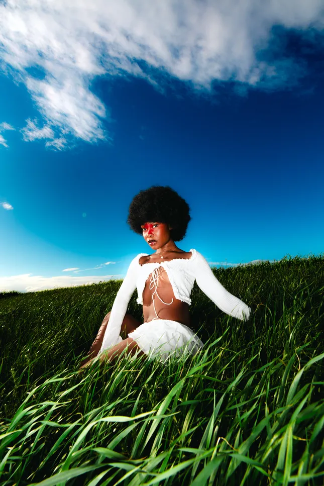 fairy in the field!