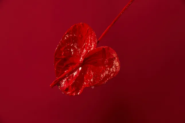 Personal Project : Wet And Red