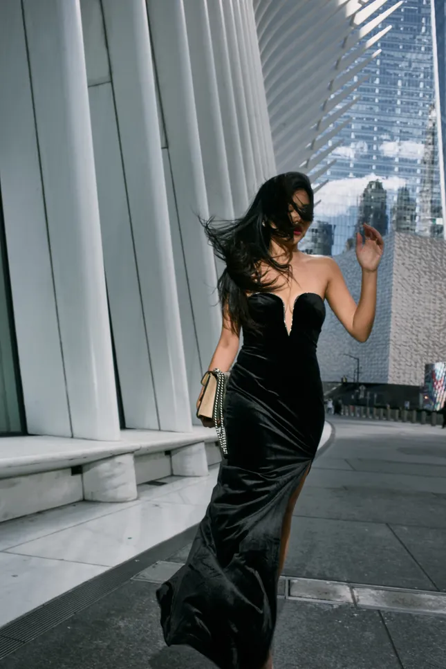 Velvet dress