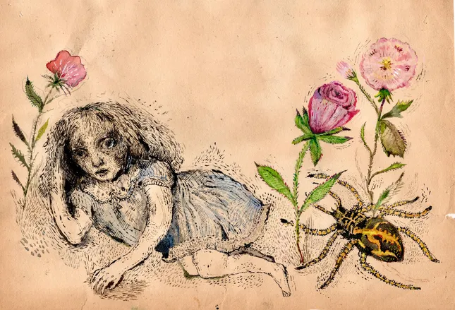 Spider Drawing
