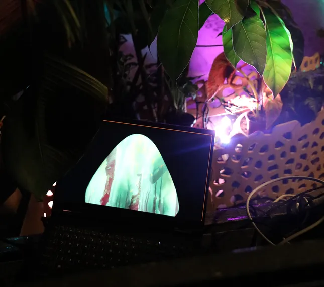 Project image