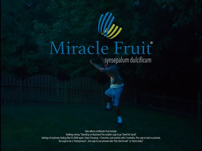 Miracle Fruit.