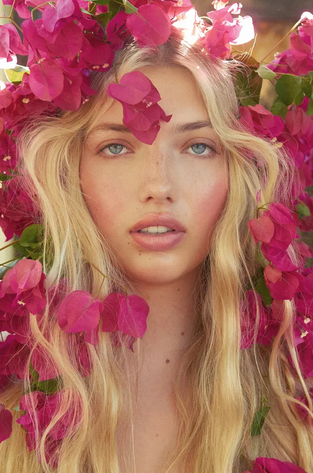 Bougainvilleas