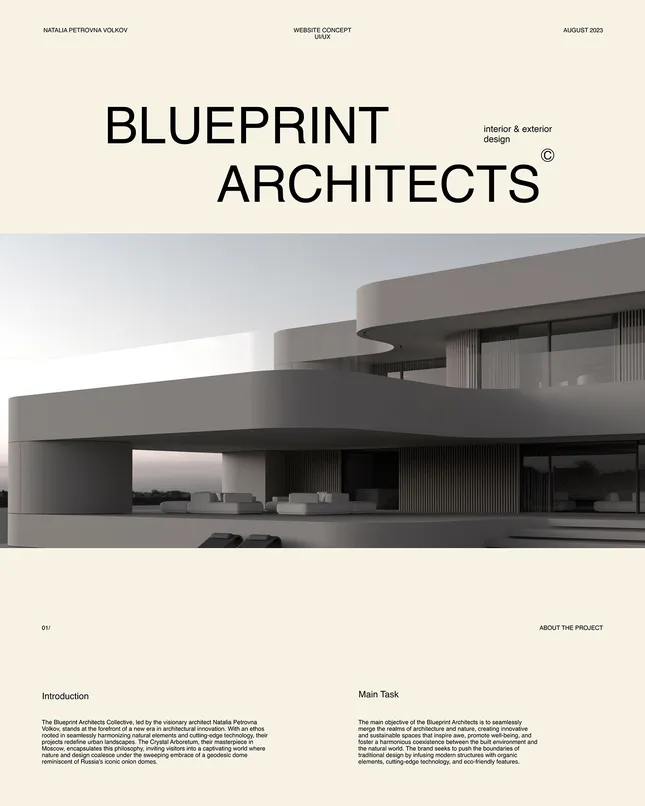 Project image