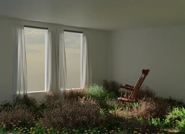 Project image