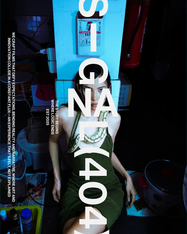 Signal 404 Visual Identity