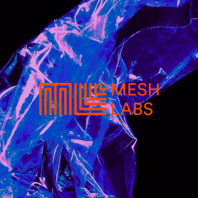 Mesh Labs Logo Concept