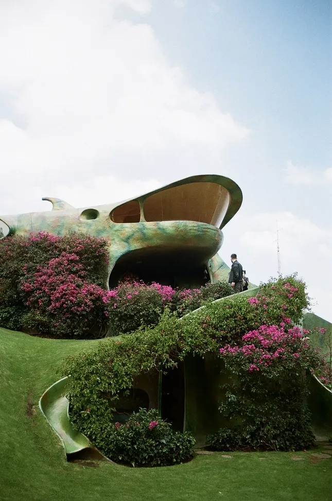 Project image