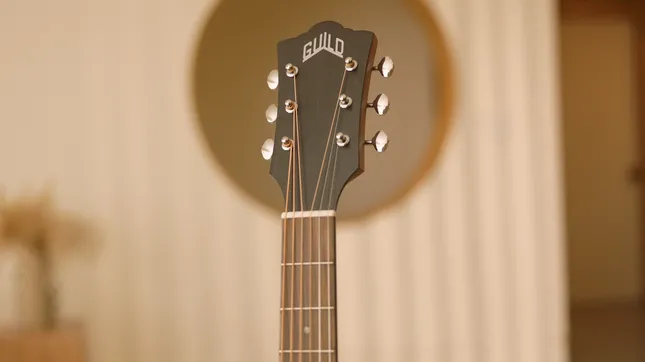 Guild 300 Series Guitars