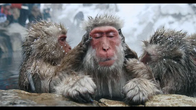 “Life in the Cold”