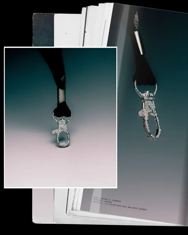 Project image